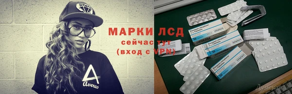 гидра Вяземский