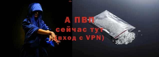 гидра Вяземский