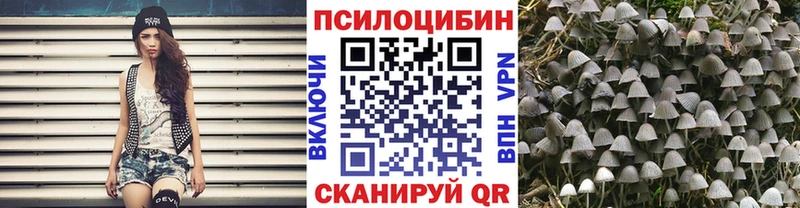 Галлюциногенные грибы Psilocybe  Купить закладки  Сатка 